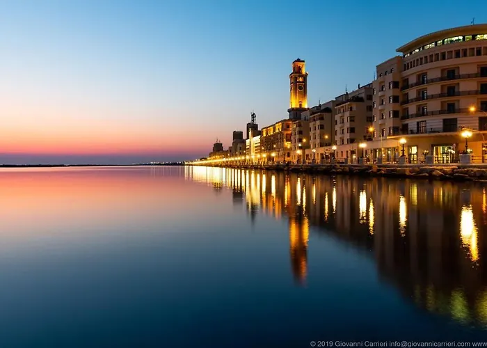 Whiteflower בארי